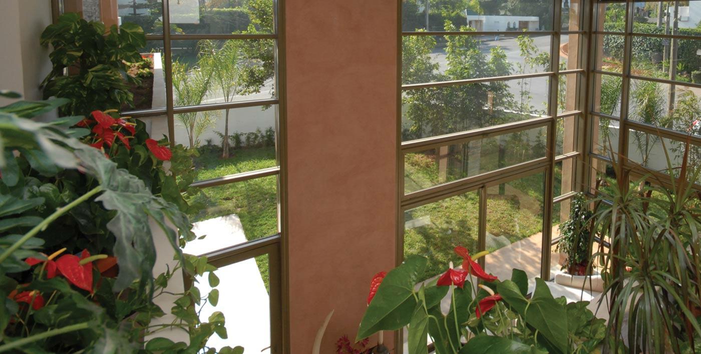 Fenêtre traditionnelle Flamingo